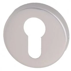 Paire de rosaces laiton MORGAN